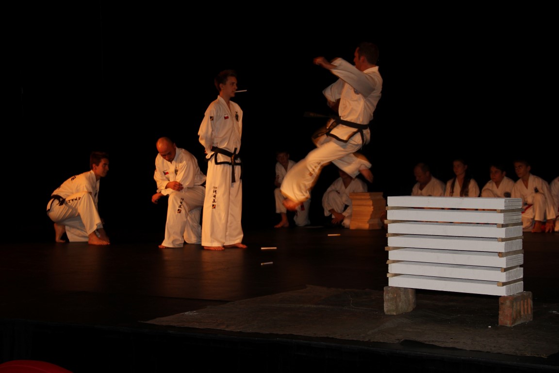 Taekwondo, Frýdek-Místek (Medium)