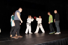Taekwondo Workshop, Frýdek-Místek (Medium)